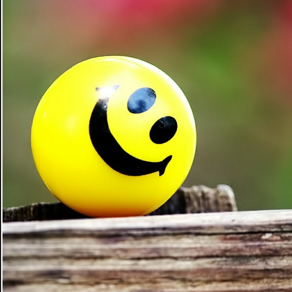 Meet your Posher, Guillermo - Picture 6 of 7